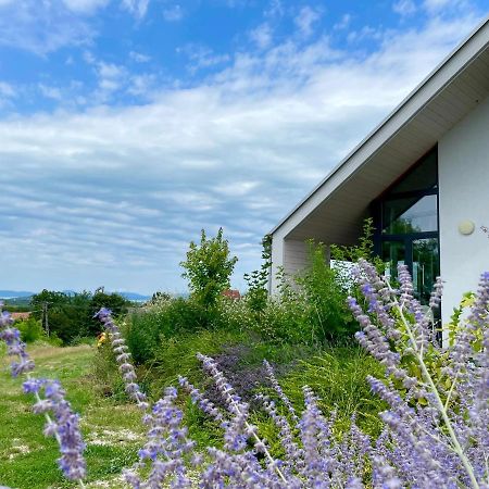 Wine & Space Lodge At Lake Balaton 발라톤엘 외부 사진