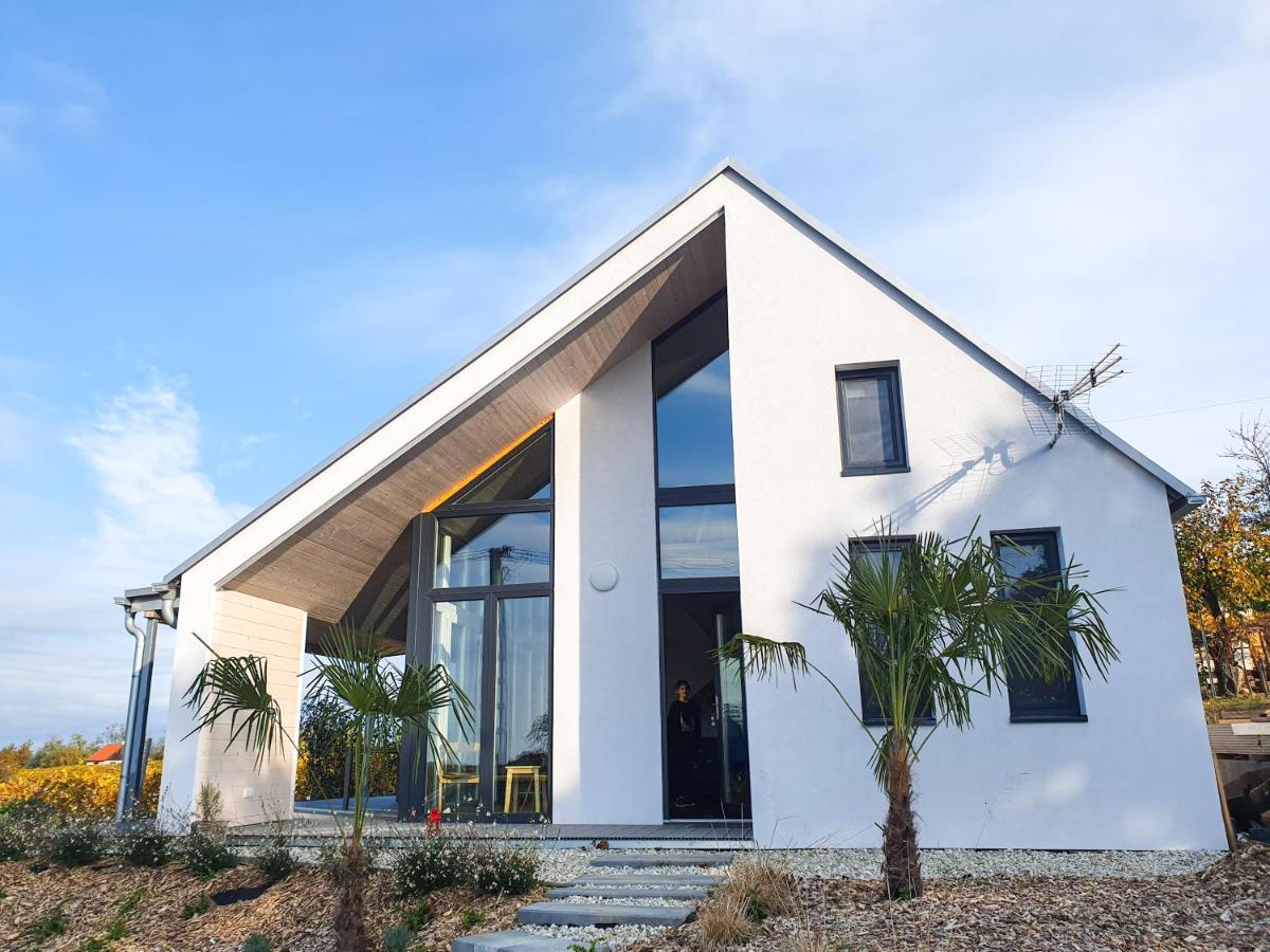 Wine & Space Lodge At Lake Balaton 발라톤엘 외부 사진
