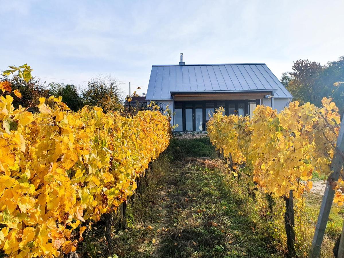 Wine & Space Lodge At Lake Balaton 발라톤엘 외부 사진
