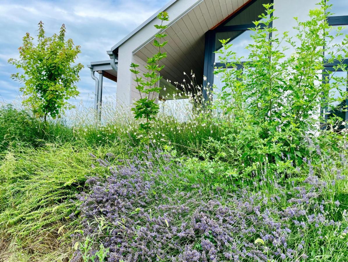 Wine & Space Lodge At Lake Balaton 발라톤엘 외부 사진